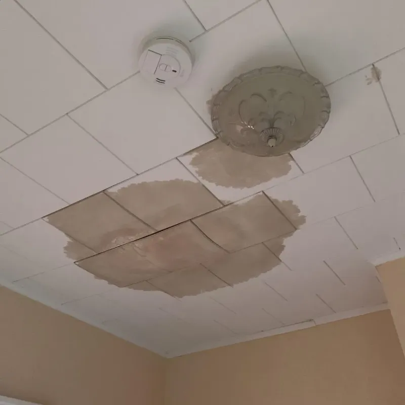 Ceiling Water Damage Repair in Waynesville, MO